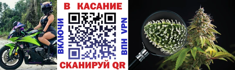 Цена Шенкурск A-PVP  NBOMe  COCAIN  Меф мяу мяу  БУТИРАТ  ГАШ  Марихуана 