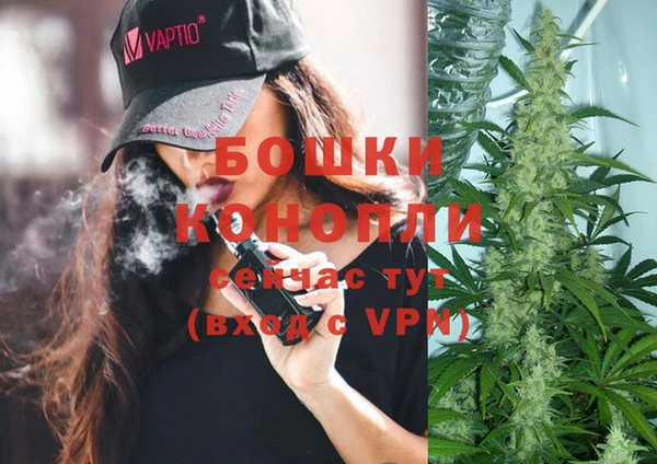 стафф Беломорск