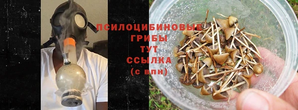 стафф Беломорск